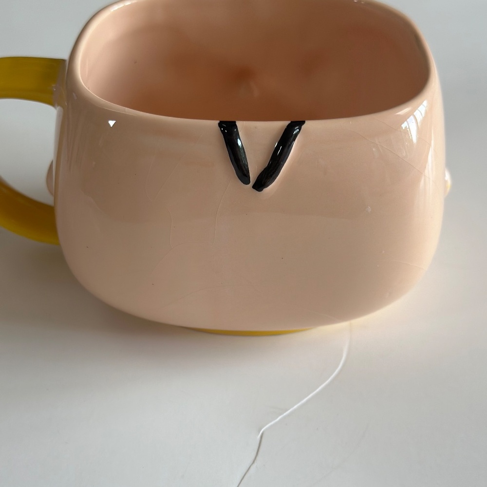 Charlie Brown Peanuts Mug Funky 2016 Absolutely Adorable - Picture 5 of 7